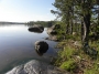 nature:l-2013-2.jpg