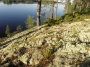 nature:l-2013-4.jpg