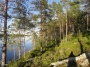 nature:l-2013-5.jpg